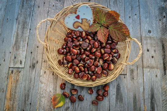 Basket full of chestnuts.